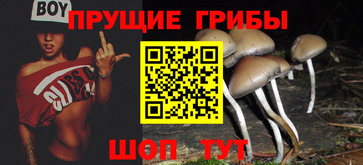 Галлюциногенные грибы ЛСД  Вход с VPN  Галлюциногенные грибы MAGIC MUSHROOMS  Хасавюрт 