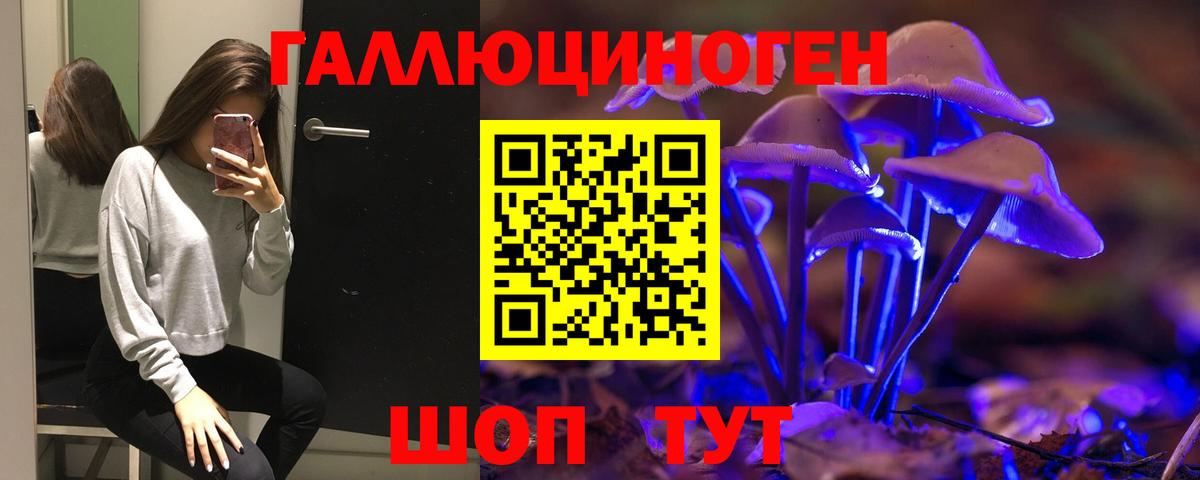 Галлюциногенные грибы GOLDEN TEACHER Хасавюрт
